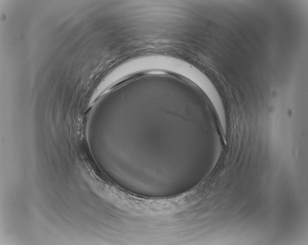 X0000056330031200509092339