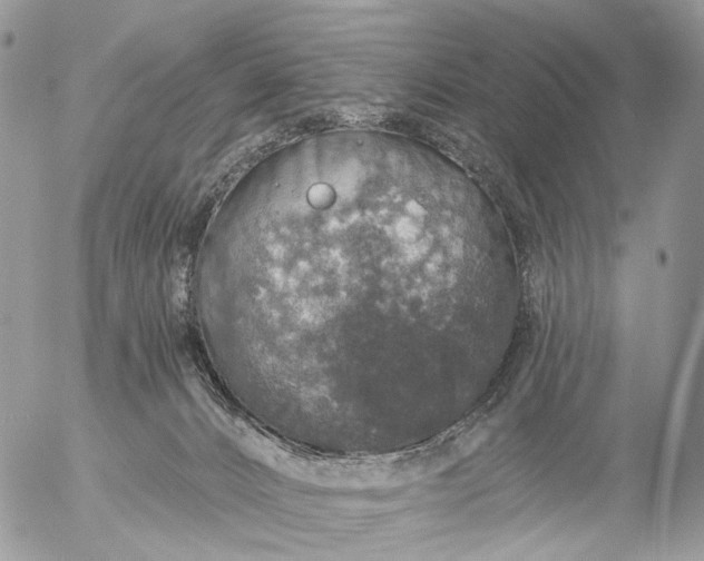 X0000056330032200509092339