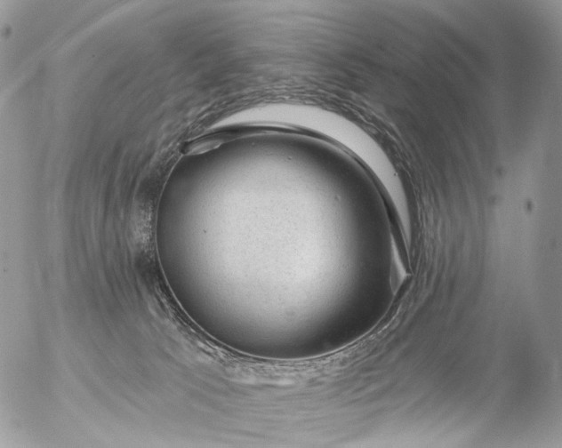 X0000056330033200509092339