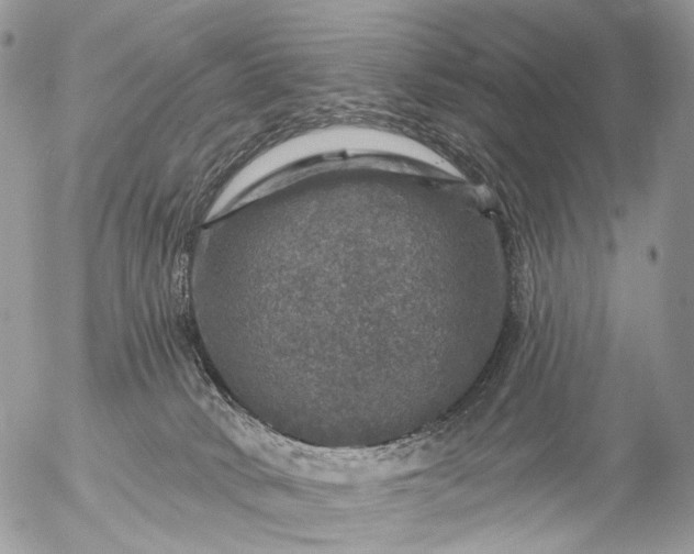 X0000056330034200509092339