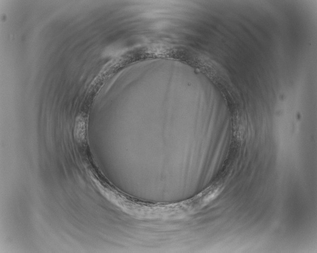 X0000056330036200509092339