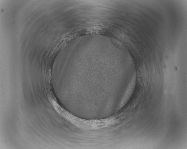 X0000056330038200509092339