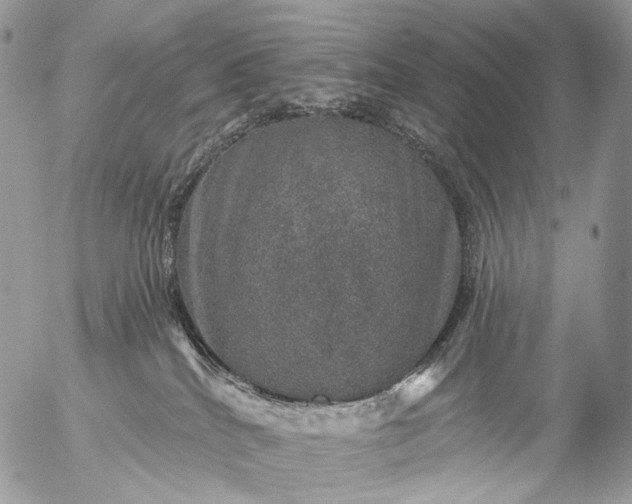 X0000056330040200509092339