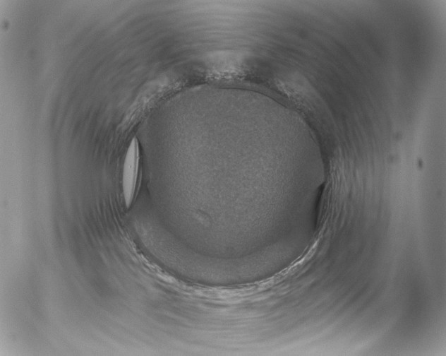 X0000056330041200509092339