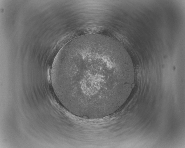 X0000056330042200509092339