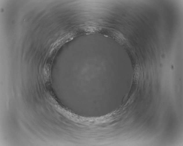 X0000056330043200509092339