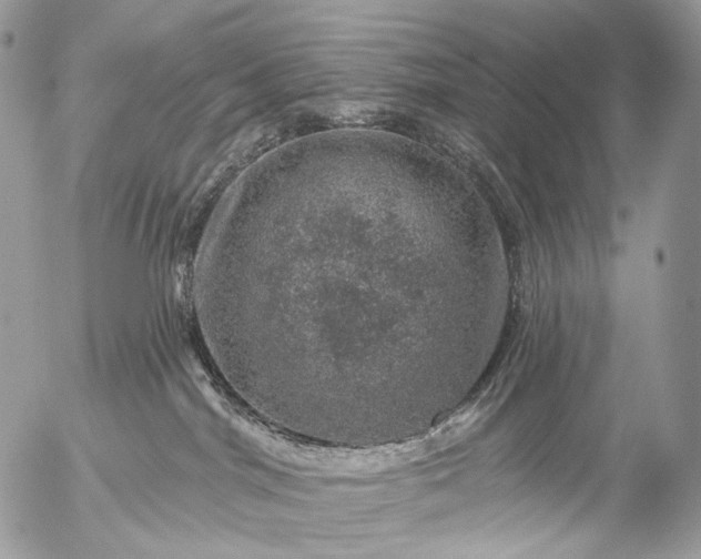 X0000056330044200509092339