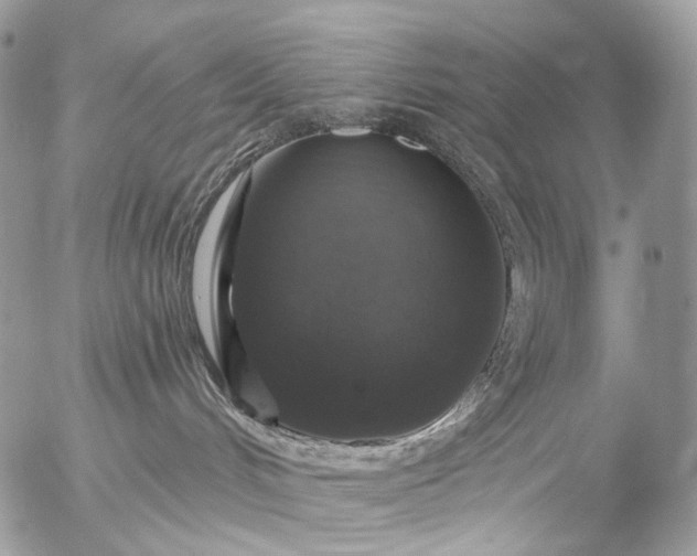 X0000056330048200509092339