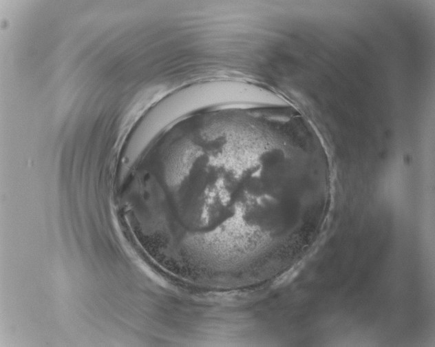 X0000056330049200509092338