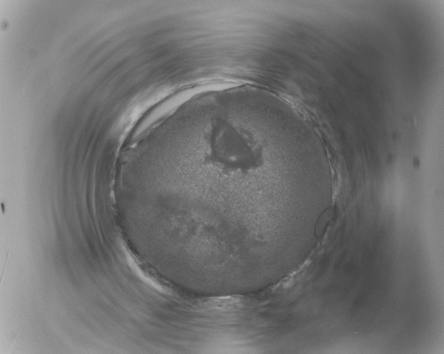 X0000056330050200509092338