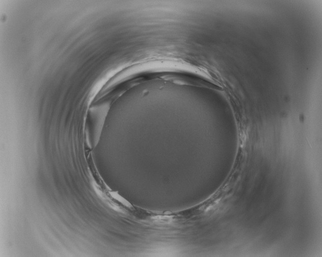 X0000056330052200509092338