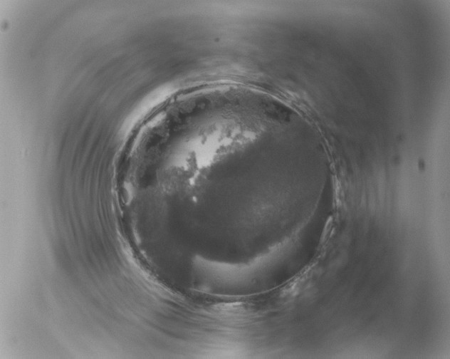 X0000056330054200509092338