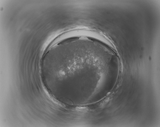 X0000056330055200509092338