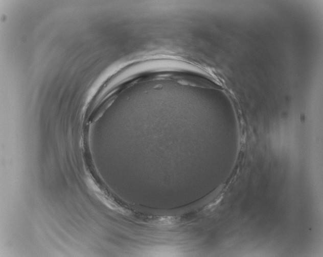 X0000056330056200509092338