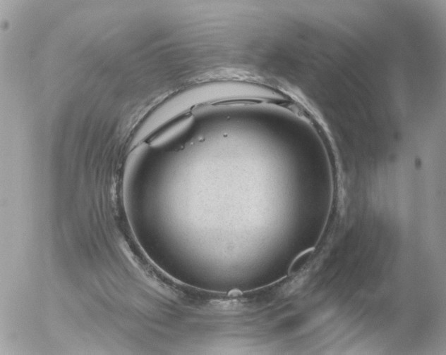 X0000056330057200509092338