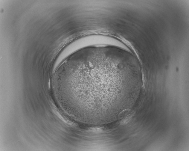 X0000056330061200509092339