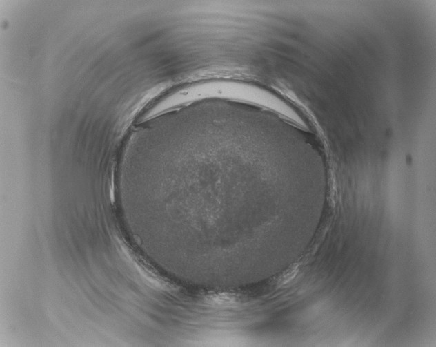 X0000056330062200509092339