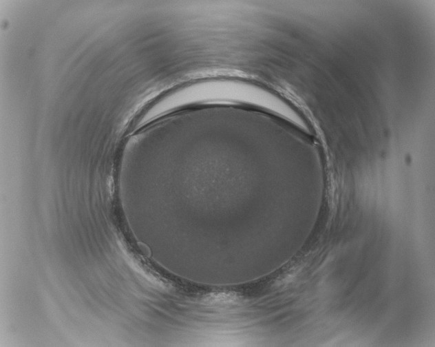 X0000056330063200509092339