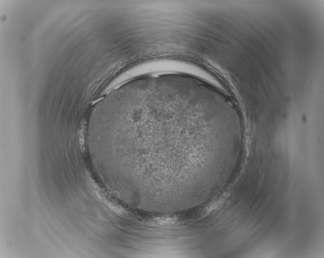 X0000056330065200509092339