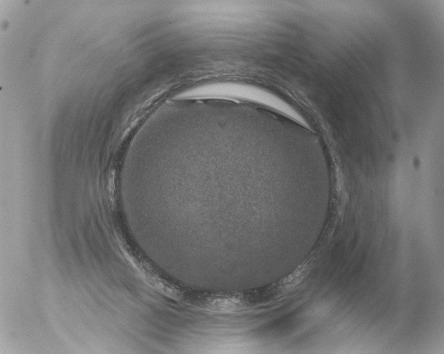 X0000056330066200509092339