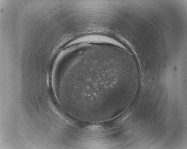 X0000056330067200509092339