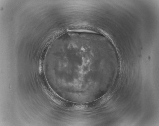 X0000056330069200509092339