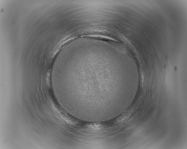 X0000056330071200509092339