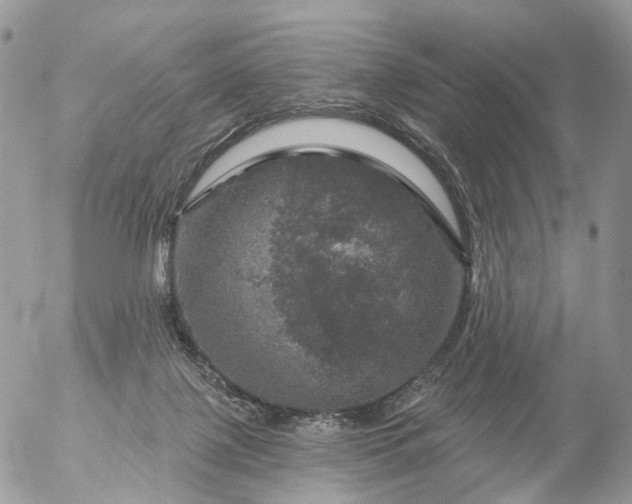 X0000056330075200509092339