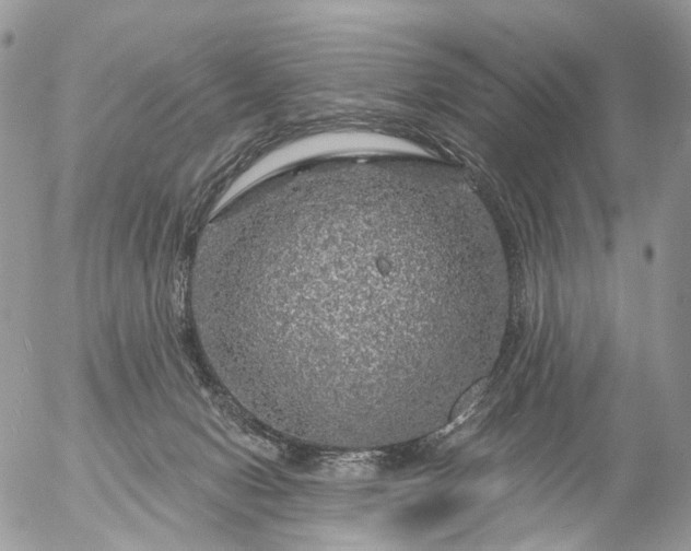 X0000056330078200509092339