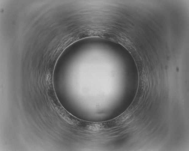 X0000056330079200509092339