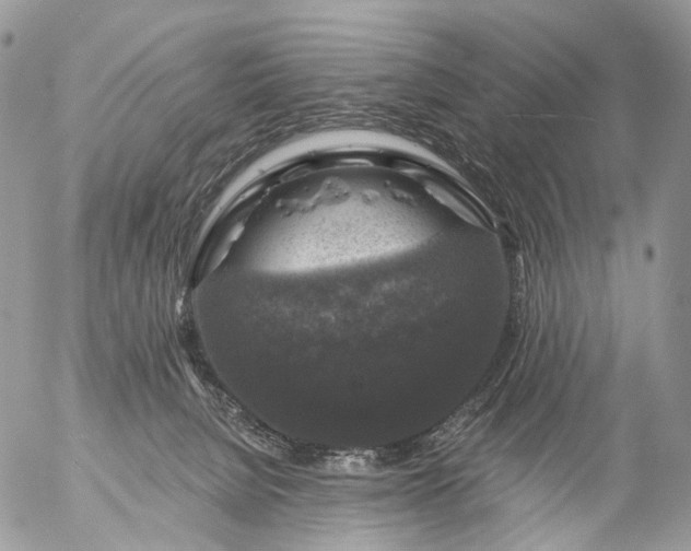 X0000056330080200509092339