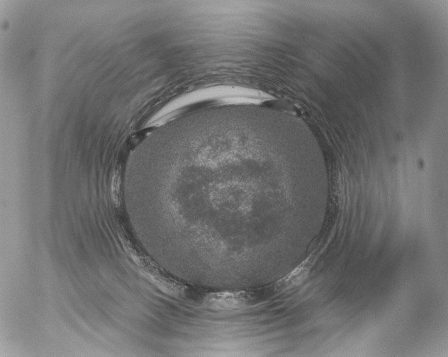 X0000056330082200509092339