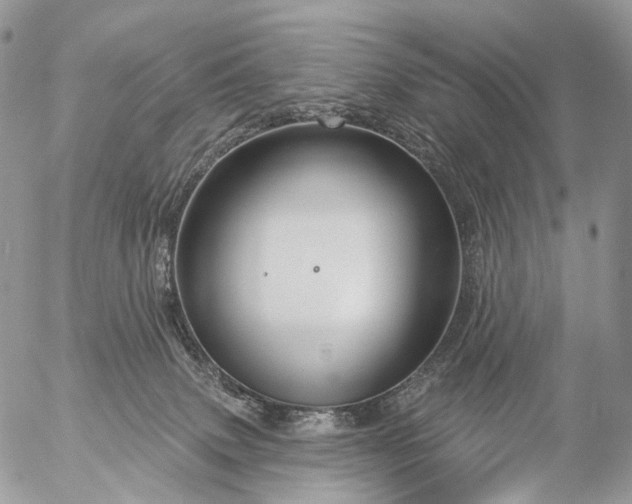 X0000056330083200509092339