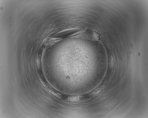 X0000056330084200509092339