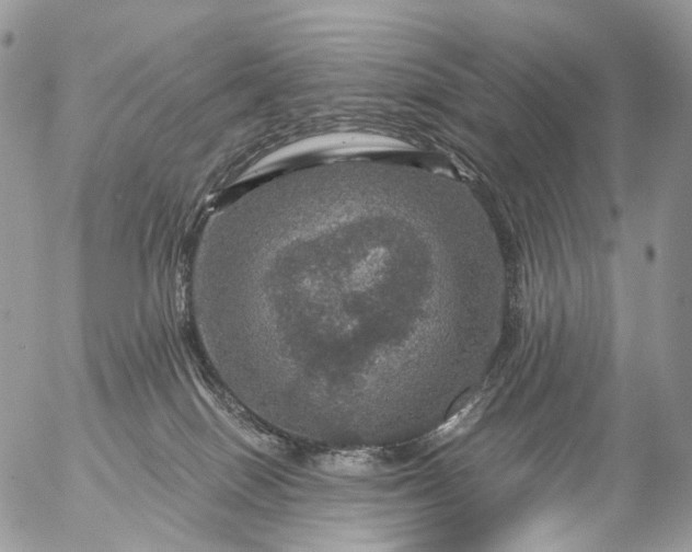 X0000056330086200509092339