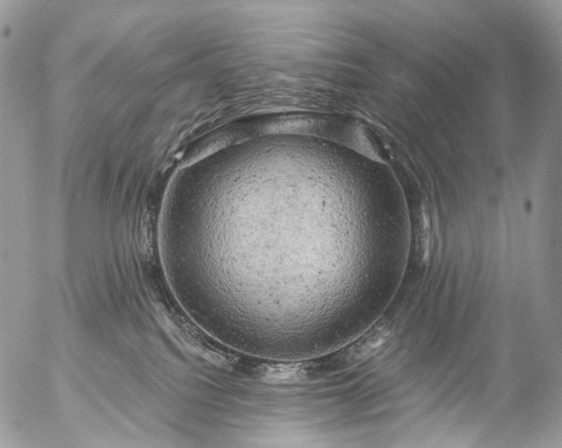 X0000056330088200509092339