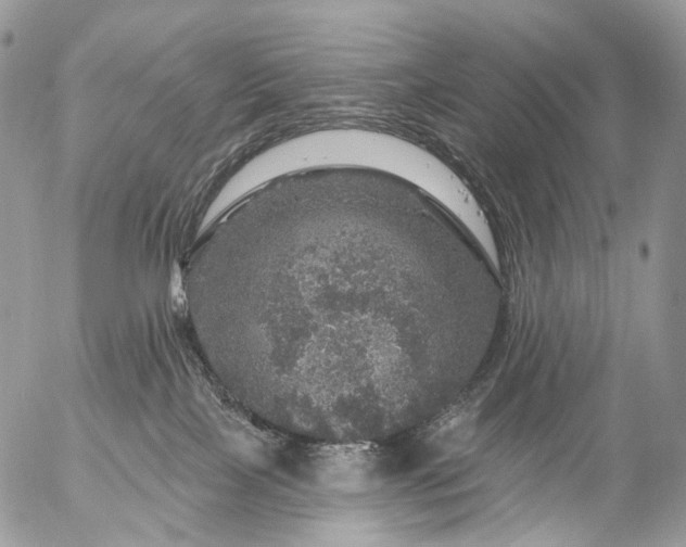 X0000056330089200509092339