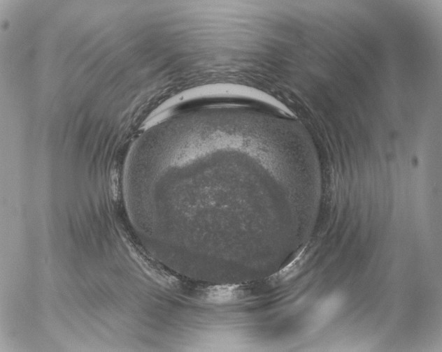 X0000056330090200509092339