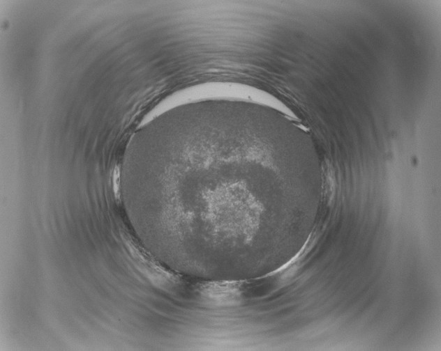 X0000056330094200509092339