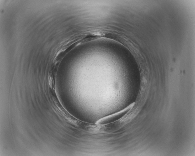 X0000056330096200509092339