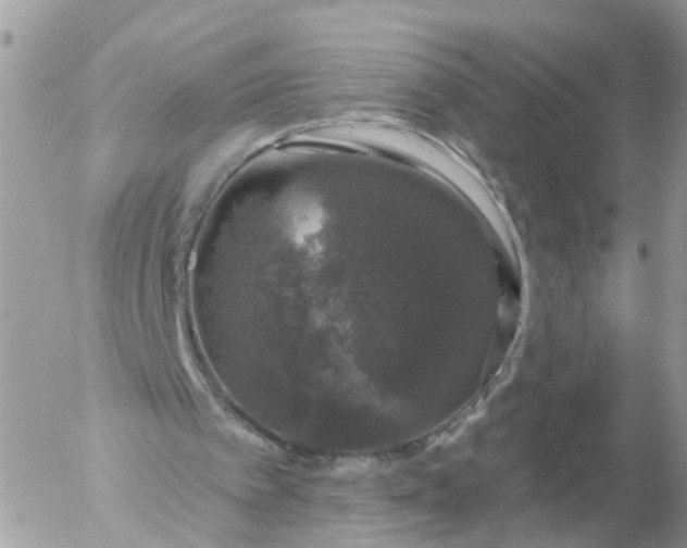 X0000056330097200509092338