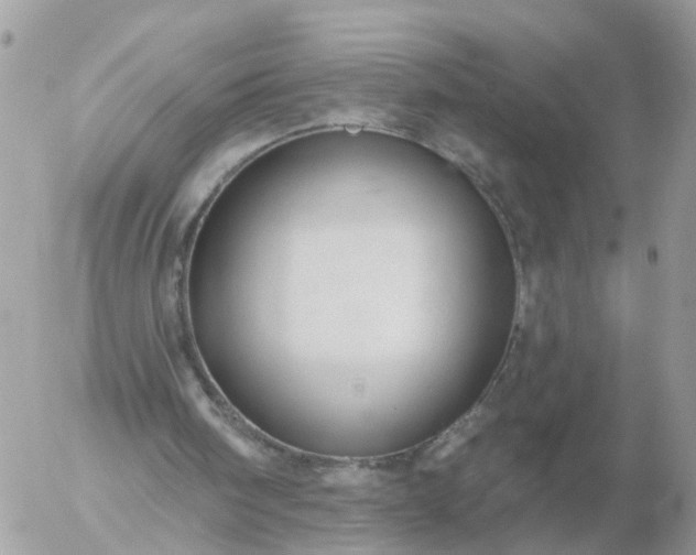 X0000056330098200509092338