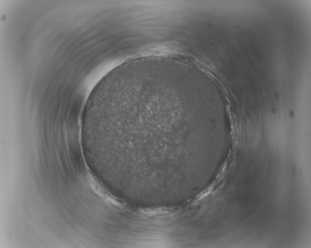 X0000056330100200509092338