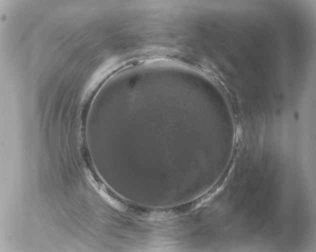 X0000056330101200509092338