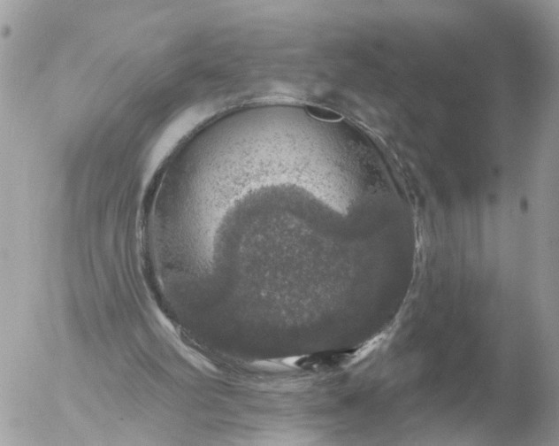 X0000056330102200509092338