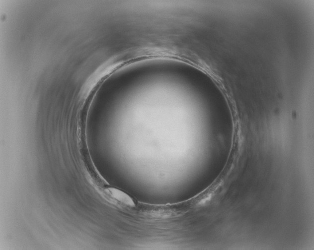 X0000056330103200509092338