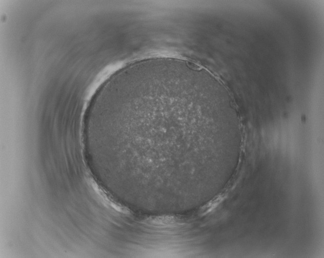 X0000056330104200509092338