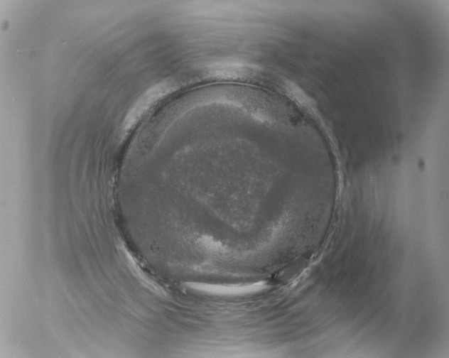 X0000056330106200509092338