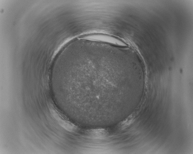 X0000056330108200509092338