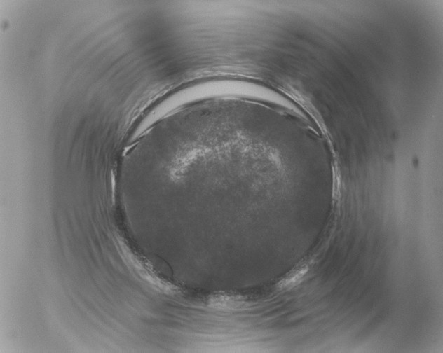 X0000056330109200509092338